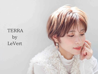 テラバイルヴェール 各務原(TERRA by LeVert)の写真