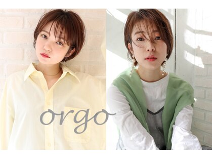 オルゴ(orgo)の写真