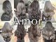 ヘアーサロン アモル(HAIR SALON Amor)の写真