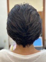 シーズンプラス(SEASON PLUS) 30代40代50代 白髪染め 【SEASON+野入】ショートグラ NO14B