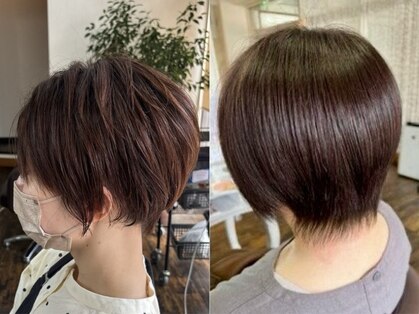 サッコウ(sakkou)の写真