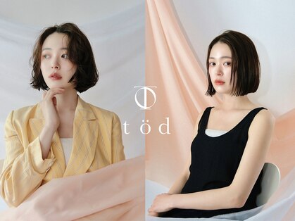 トッド(tod)の写真