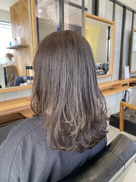 ソッカ(socca) ミディアムレイヤー