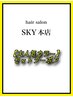 ↓↓↓SKY 本店☆大人気のカラーセットクーポン↓↓↓