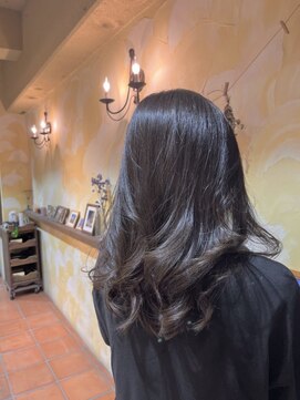 ゼクトサウス(zect SOUTH) ミディアム