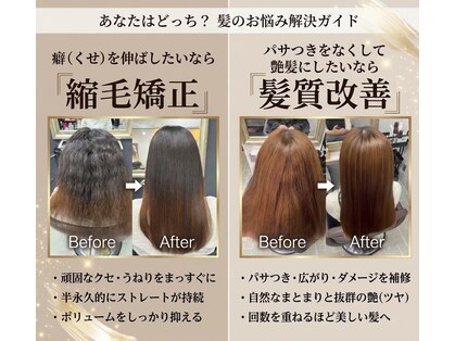 アヤメ(ayame)の写真