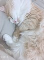 フレーム ヘア ルーム 天王寺駅前店(FRAME hair room) 猫と暮らしてます！