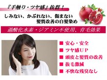 ヘアドレッシンググラム(hair dressing glam)の雰囲気（ザクロペインター、香草カラー色葉、ヘルバ等、扱っております。）