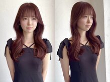 シェルパ(SHERPA)