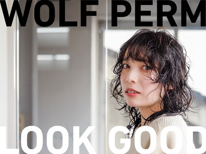 カートバイハイジ(Kurt by Heidi)の写真