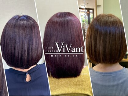 ビバン(Vivant)の写真