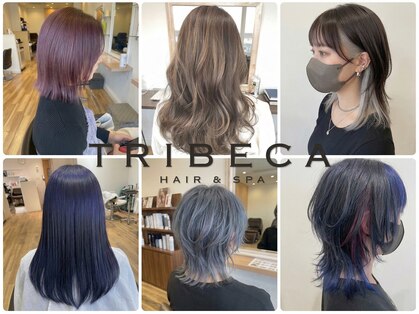 トライベッカ 新柏店(TRIBECA Hair&Spa)の写真