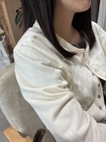 本と南風 guest design