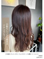 アイリス(IRIS)&nbsp;艶あり白髪もしっかり染まるナチュラルブラウン