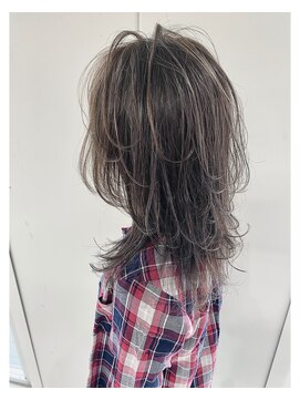 スティードトーキョー(Steed Tokyo) secret highlight"sheer grege"× casual layer【Steed/立川】