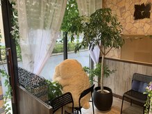 プティ ボワ(Petit bois)の雰囲気（街の安全を監視しているプティの後ろ姿）