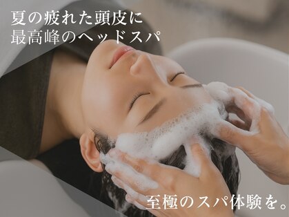 ステラ 南花畑店の写真