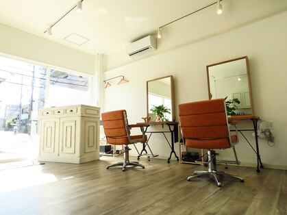 アンティロープ(antelope)の写真