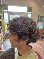 ラックシステム(LUCKSYSTEM)&nbsp;プードルパーマ