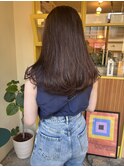 〈浅草 半個室〉シアーベージュ