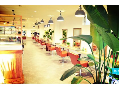 オレガ ヘアー(Orega hair)の写真