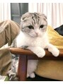フェイヴィーズ(FavyS)&nbsp;猫大好き！