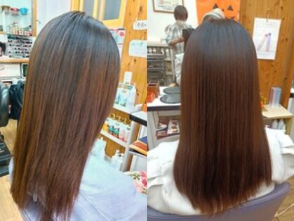 シキサイ(四季彩)の写真