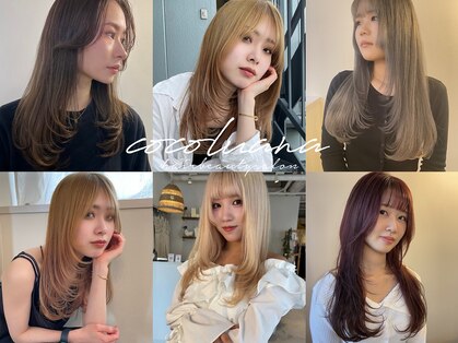 ココルアナ(coco luana)の写真