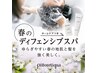 春におすすめ☆バリア機能を高めるピトレティカヘッドスパ&treatmen所要90分