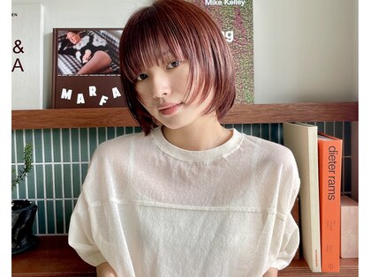 ニト ステップ(nito step)の写真