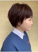 ショートスタイル〈ステラノルド〉