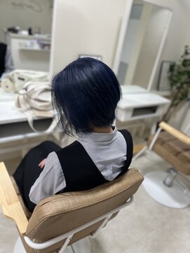 カリーナ(CARINA) ハイトーンカラー/ネイビーカラー