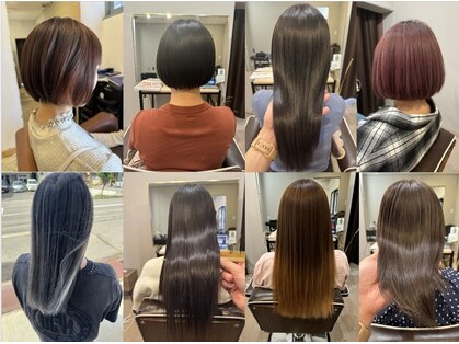 エルモ(ELMO)の写真