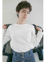 プレディカ(pledica)&nbsp;ai4123