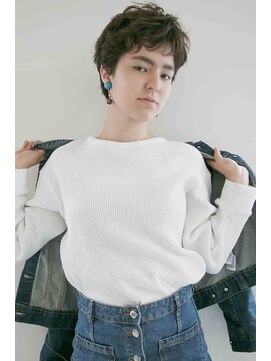 プレディカ(pledica) ai4123