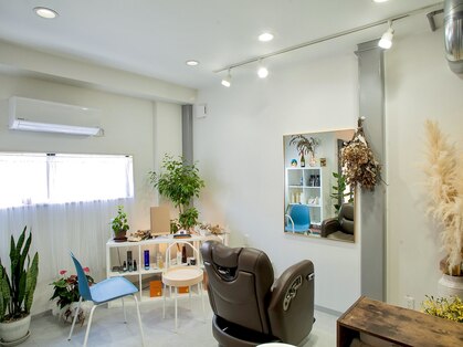 アルム(alm)の写真