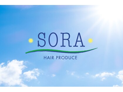 ソラ(SORA)の写真