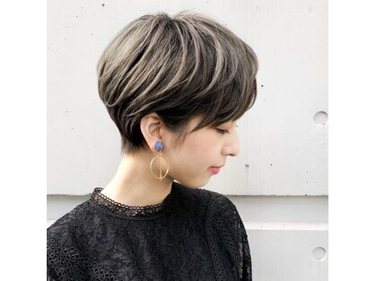 シフォン(Chiffon)の写真