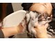 トイロ ヘアアンドスパ(10iRo hair & spa)の写真