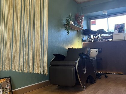 ウィステリア(wisteria)の写真