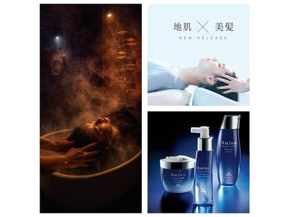 プランツヘアーの写真