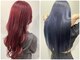 テフ(tefu)の写真