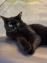 ヘアー アンド リラクゼーション スズ 祐天寺店(suzu)&nbsp;蓮見 すずらん