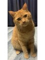タクミ 美容院 庭瀬店(Takumi)&nbsp;猫が好きです☆飼ってる猫は16歳になります(=^ェ^=)笑