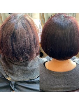 ロータス(Lotus) 春カラー