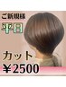 【平日新規限定】￥2500カット(5ｃｍ以内のカット)ブロー・スタイリング込み