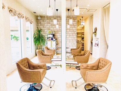 エメラ ヘア ドレッシー(EMERA hair Dressy)の写真