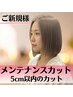 【新規】メンテナンスカット(5cm以内) ¥2200