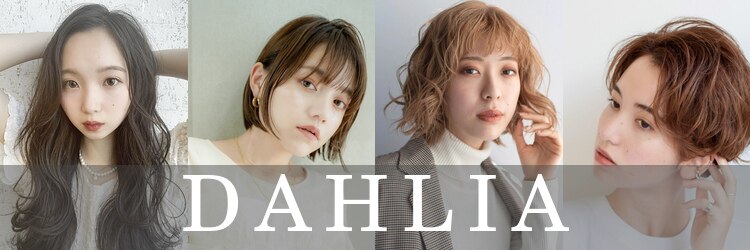 ダリア(Dahlia)のサロンヘッダー