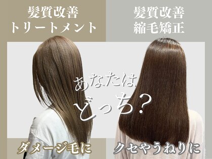ニード(NEED)の写真